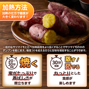 【先行予約】富士美芋 生1.7kg さつまいも 甘い 蜜がたっぷり 加熱後糖度30以上 絶品 栄養豊富 期間限定 富士市 やわらか [sf070-001]