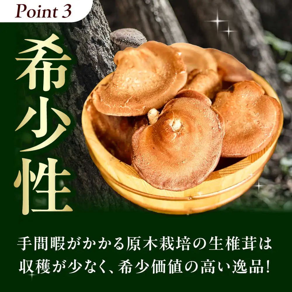 【先行予約】 原木生しいたけ 約1kg (～10個) ＜12月中旬～1月頃順次発送予定＞AOCS001 しいたけ