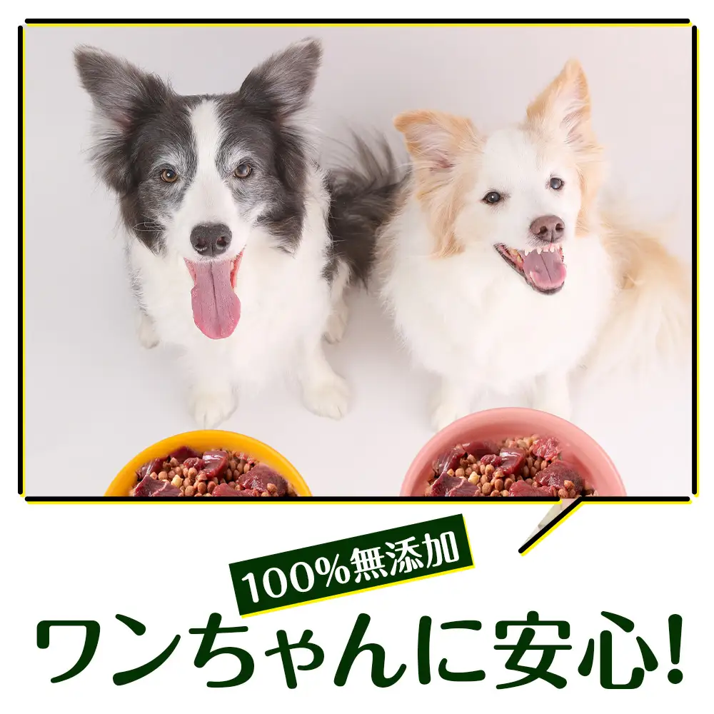 犬 おやつ 鹿肉 冷凍エゾシカ生肉 2kg （200g×10パック）