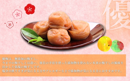 梅干し 紀州南高梅干し 大粒 1kg ご家庭用【inm510B】