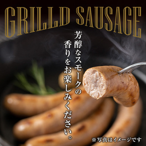国産豚肉使用！無塩せきソーセージ 大和ブラート 500g (100g×5パック) ソーセージ 手作り 細挽き 肉 加工品 小分け 食べ比べ 冷蔵 おつまみ BBQ バーベキュー シャルキュトリ【有限会社コブレンツ】ta374