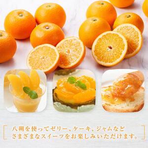 【2027年1月下旬から発送】しまの八朔セット約8kg（Mサイズ程度　約30個　紅八朔と八朔）