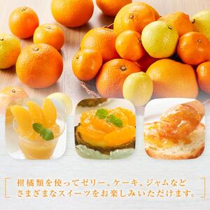 【2027年1月下旬から発送】季節の柑橘セット約5kg 