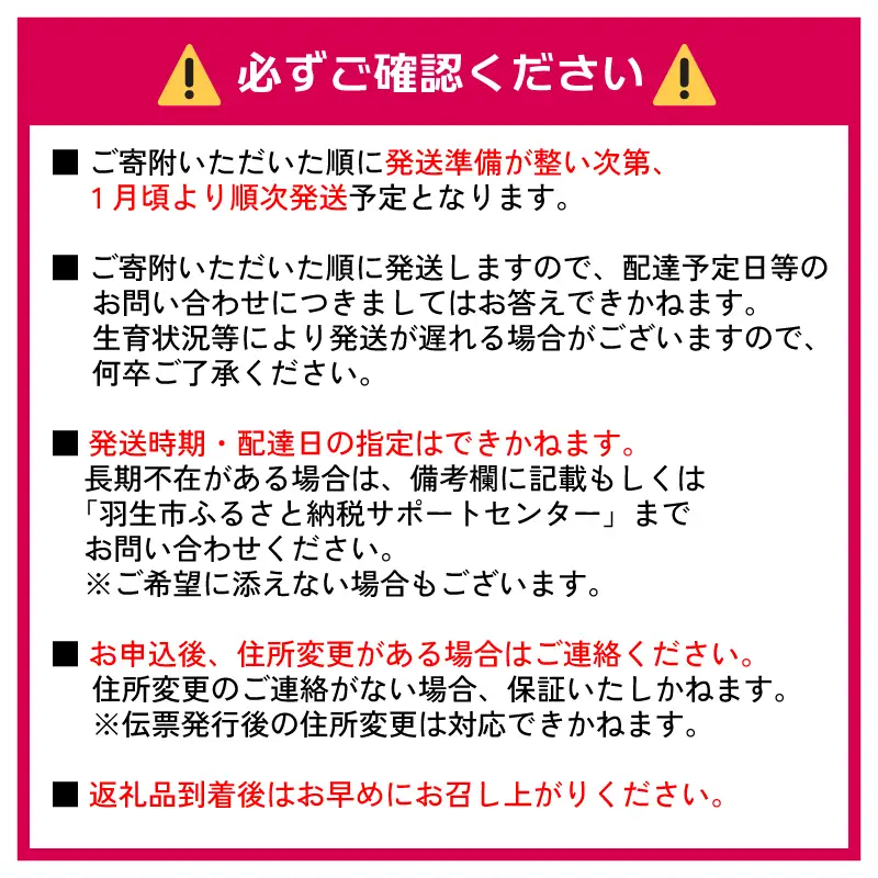 【先行予約】いちご あまりん  2パック 苺 あまりん