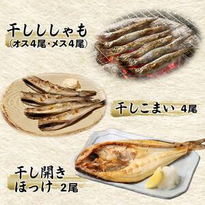 【3か月連続定期便】いくら500g たらこ切子と明太子切子 おさかなBOXセット② 魚介類 海鮮 定期便 いくら イクラ 北海道 秋鮭 鮭 鮭イクラ 干物 こまい ししゃも F4F-8734