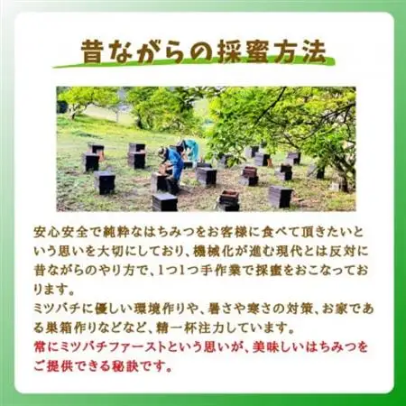 みつばちの雫　国産もち蜂蜜　500g+300g_調味料 はちみつ  ハチミツ 蜂蜜_【1481088】