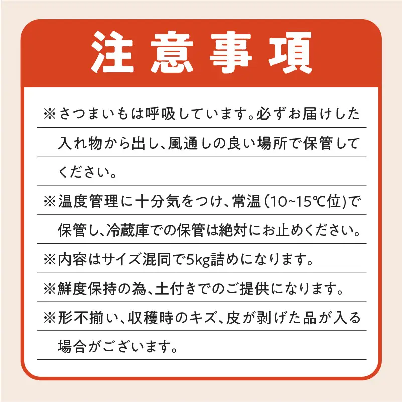 サイズバラバラ熟成べにはるか（生芋）土付き 5kg K270-001
