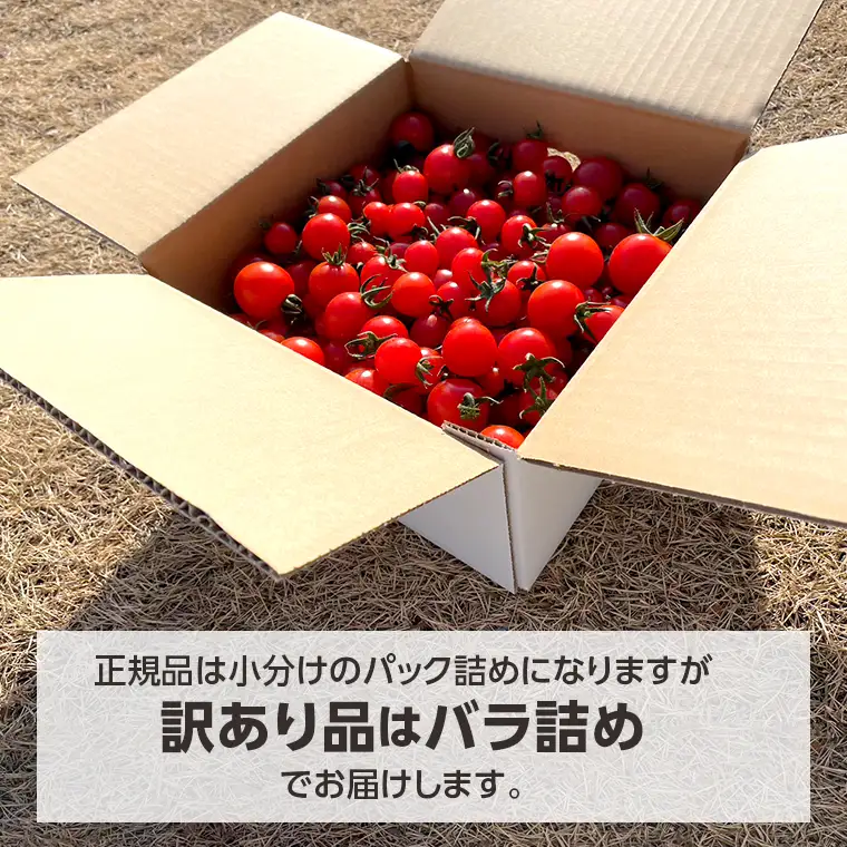 【訳あり】高糖度ミニトマト「宝玉丸」3kg【期間・数量限定】