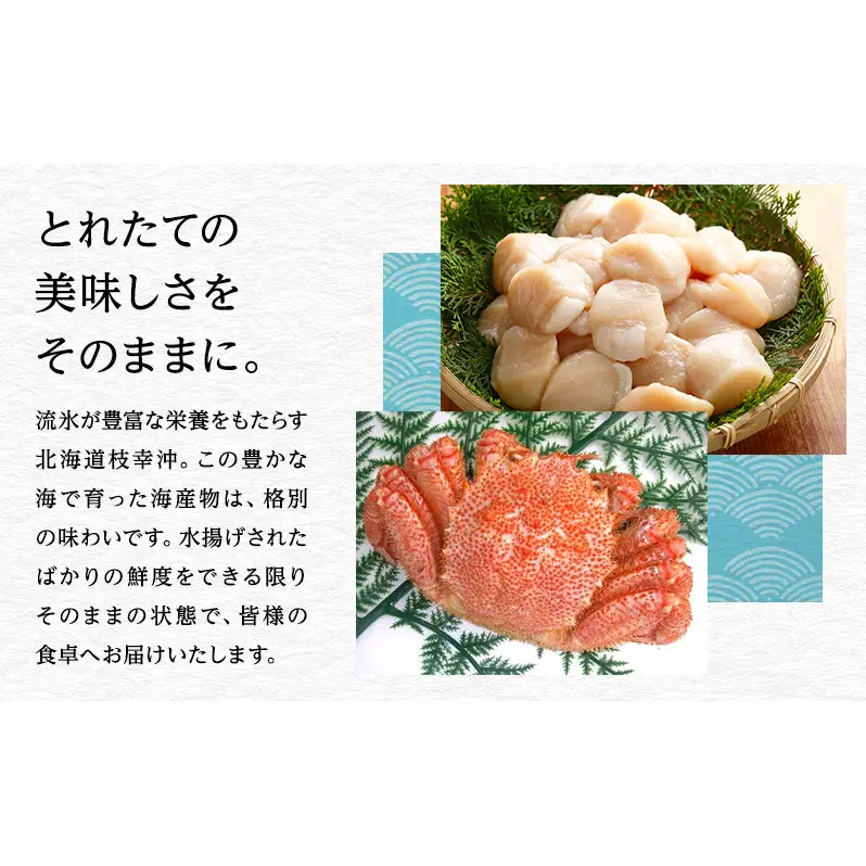 オホーツク枝幸 浜茹でボイル たこ足 2本 計1.4kg 冷凍 極太［山上佐藤水産］1本600～800g【 たこ タコ 脚 海鮮 魚貝類 北海道 オホーツク 枝幸 】