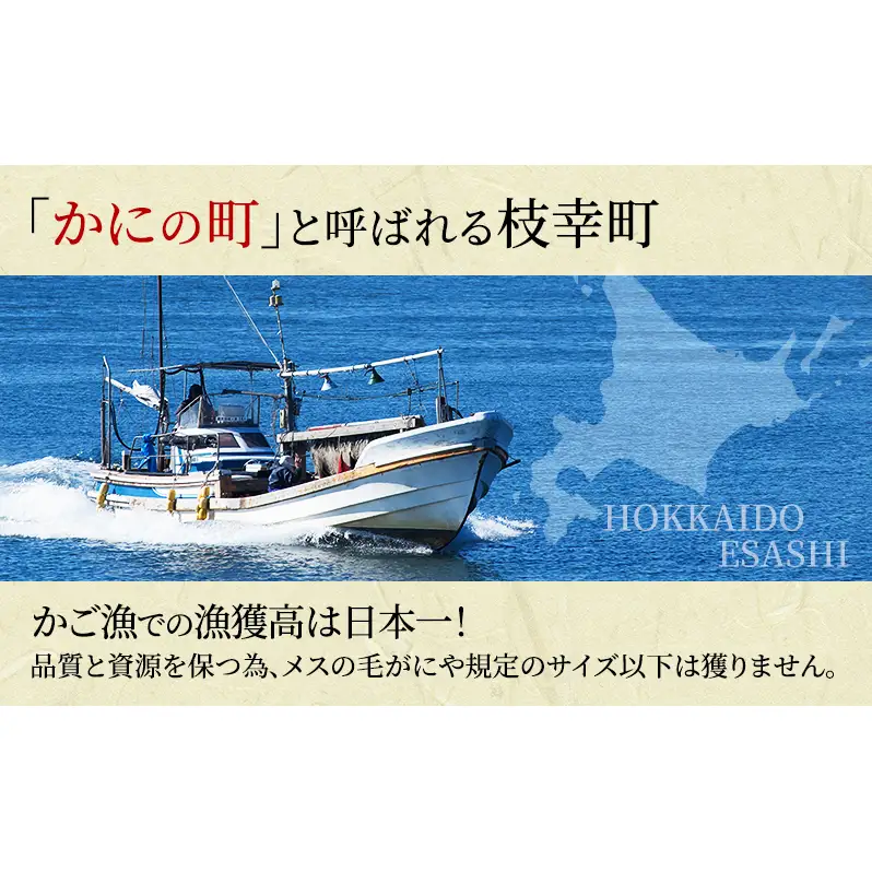 オホーツク枝幸 冷凍ボイル毛ガニ 660g前後×2尾［山上佐藤水産］【 カニ かに 毛ガニ 海鮮 毛ガニ 蟹 北海道 オホーツク 枝幸 】