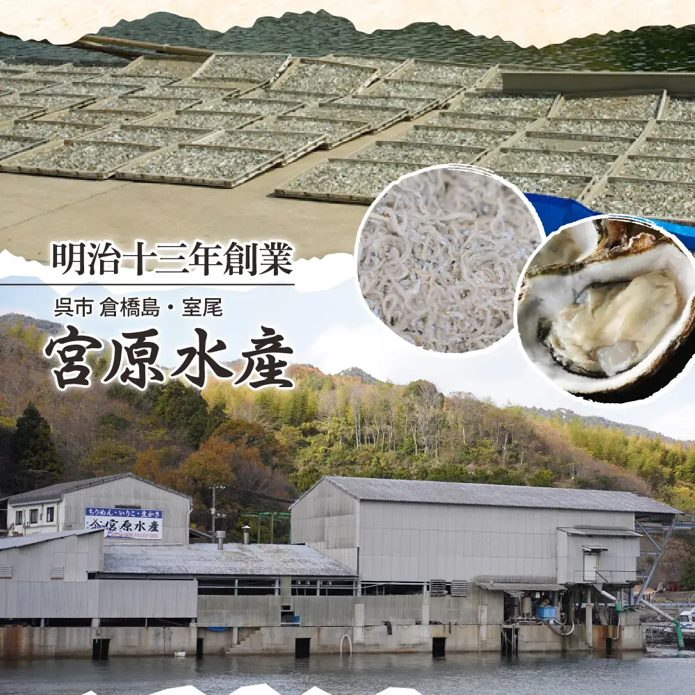 宮原水産 倉橋かえり 1kg カタクチイワシ 煮干し 魚介 魚介類 海鮮 海産物 おやつ 肴 カルシウム お取り寄せ 送料無料 国産 広島産 日本 広島県 呉市 ku005-017-r