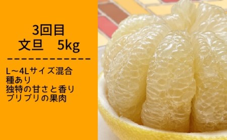 【令和８年発送】先行予約　柑橘フルーツ４回定期便（ぽんかん３kg・麗紅３kg・文旦５kg・小夏３kg）【J00018】