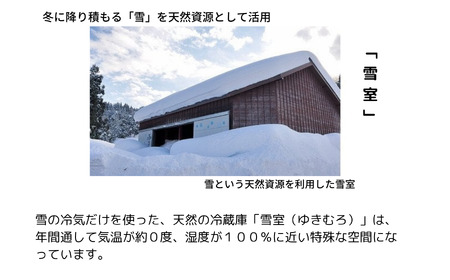 お茶 緑茶 こめ茶 茶葉２缶セット 雪室 雪国のお茶 抹茶入り玄米茶 日本茶 贈答 ギフト 雪室緑茶詰め合わせ 新潟県 糸魚川 正香園