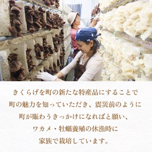 金華きくらげ（乾燥）漁師がつくる お楽しみセット 乾燥きくらげ