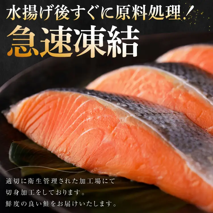 訳あり 鮭 切身 骨取り 無塩 1.5kg  サーモン サケ しゃけ 魚 銀鮭