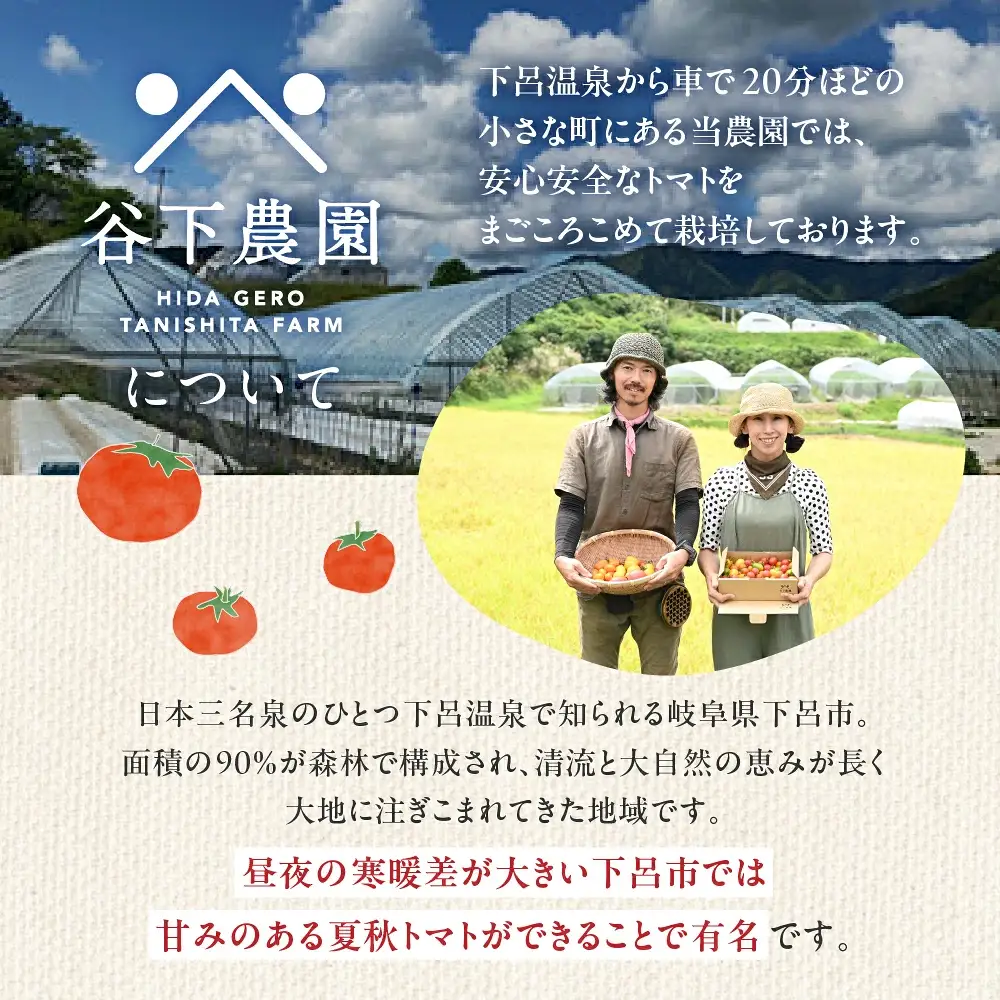 プレミアム トマトジュース（180ml×3本）≪谷下農園 有機JAS認証農園の完熟トマト使用≫【61-13】