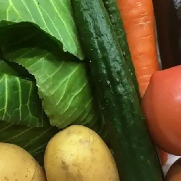 新鮮野菜のお届けによる見守りサービス（1ヶ月2回お届け）【兵庫県 高砂市】