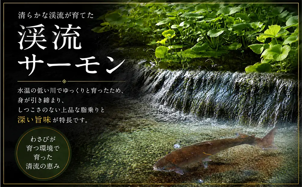 渓流サーモン　お刺身フィーレ　1kg