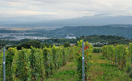 ふるさと納税 日本ワイン en.2022 Blanc 長野県小諸市 信州ワイン 白ワイン シャルドネ リースリング ソーヴィニヨンブランGreve.t KomorokkoFarm&Winery 