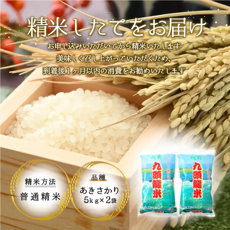 米 越前九頭龍舞 精米 10kg 令和8年産 米