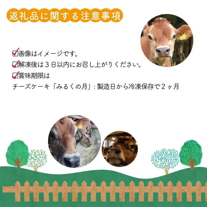 チーズケーキ みるくの月 ラブリー牧場 ジャージー牛乳使用 1個 [A-014003]