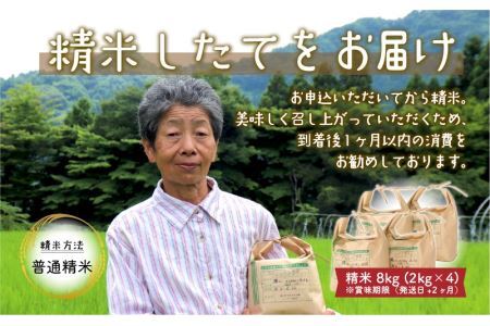 令和6年産 コシヒカリ8kg(2kg×4) [B-020005]