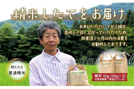 令和6年産 コシヒカリ4kg [A-020015]