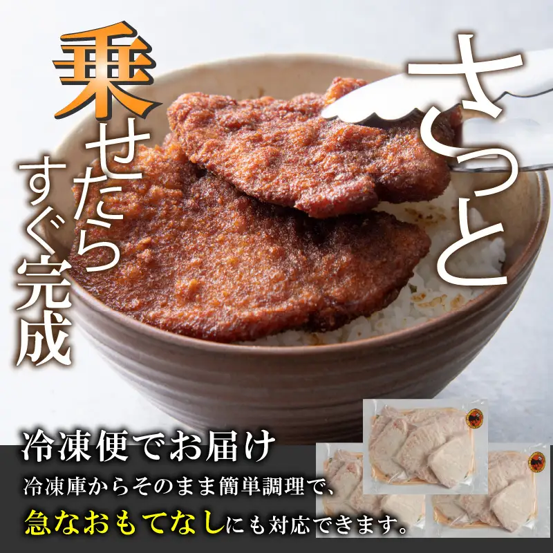 惣菜 ソースカツ丼セット 9人前 [A-037020]