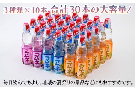 特選！オリジナル恐竜ラムネ3種×10本SET [A-038002]