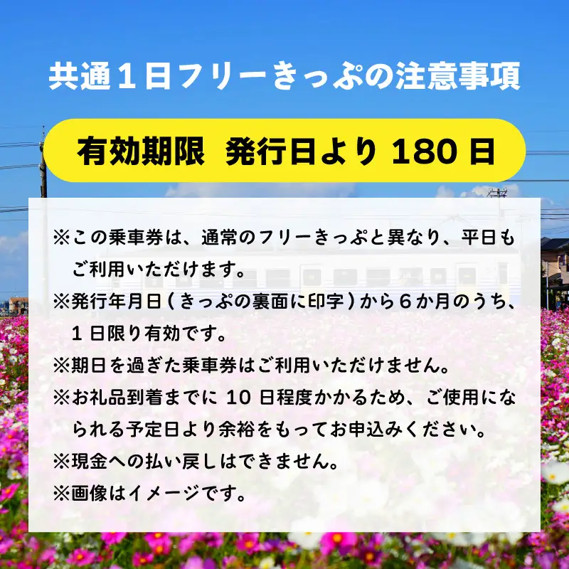 鉄道1日フリーきっぷ えちぜん鉄道・福井鉄道  [A-039004]