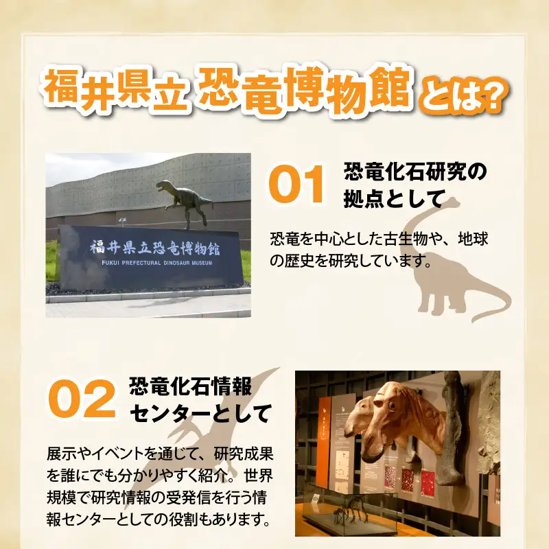 恐竜博物館 観覧券 常設展 一般2名 [A-048007]