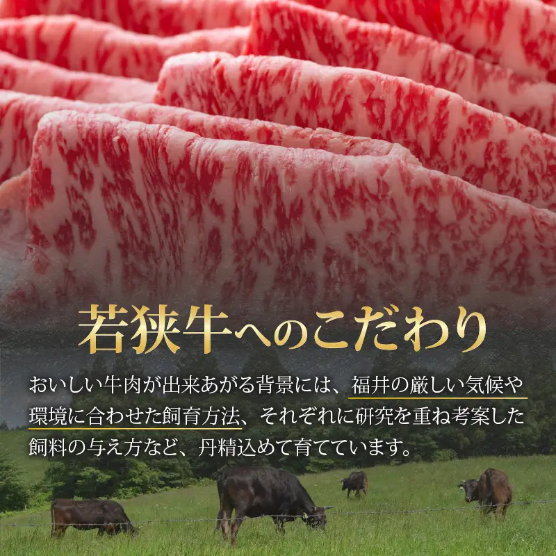若狭牛 ロース・肩ロース すき焼き用 500g（250g×2） [C-058003]