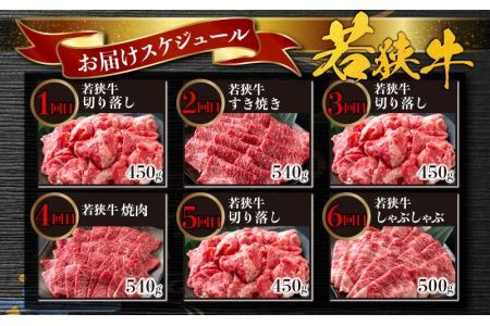 【肉の定期便×12回コース】肉好き大集合！若狭牛 食べ比べ 定期便！【福井のブランド牛肉】【4等級以上】[O-058001]