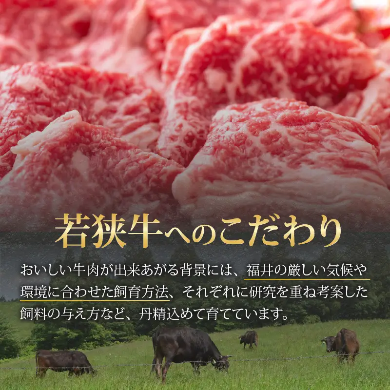 若狭牛 切り落とし モモ・肩・バラ 450g（225g×2） [A-058001]