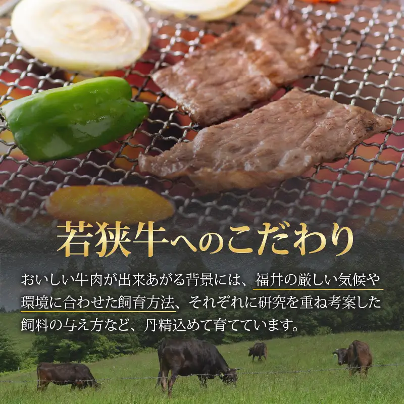 若狭牛 上カルビ 焼肉用 350g [B-058001]