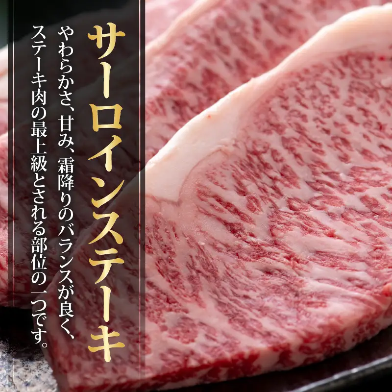 若狭牛 サーロインステーキ 510g(170g×3) [C-058002]