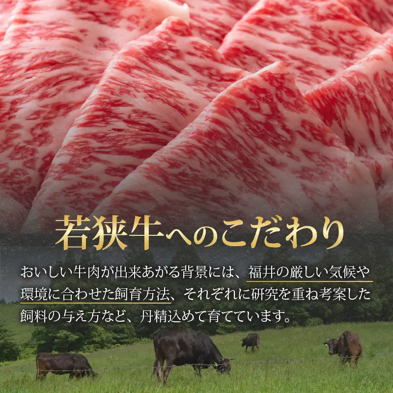 若狭牛 ロース・肩ロース しゃぶしゃぶ用 500g [C-058004]
