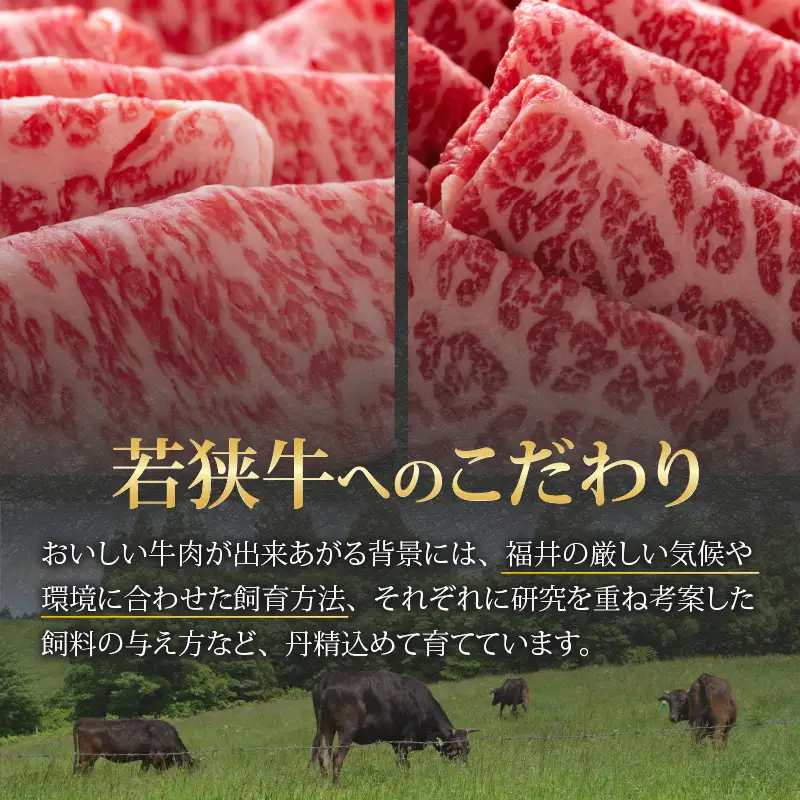 若狭牛 すき焼き食べ比べセット 1kg（ロース・モモ） [E-058001]