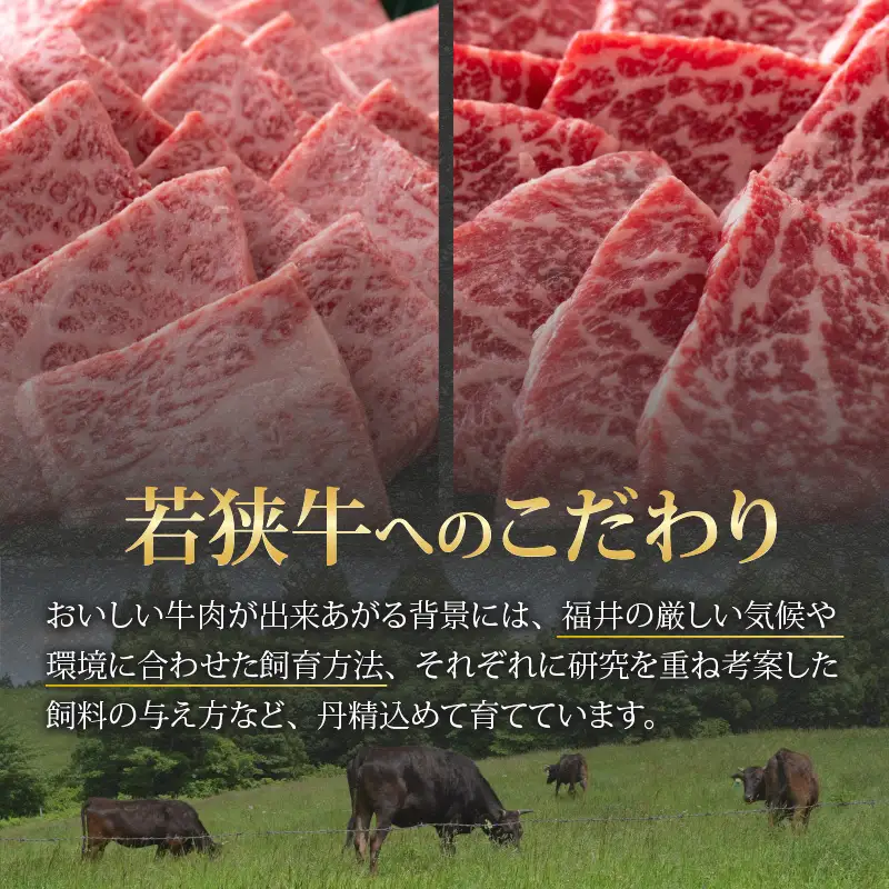 若狭牛 焼肉食べ比べセット 1kg（上カルビ・モモ）[E-058002]