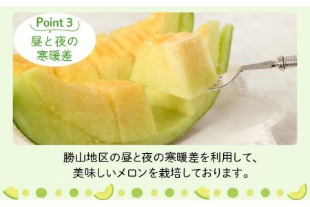 【先行予約】勝山 若猪野メロン (2玉 箱入り)  ※2024年7月中旬～8月中旬頃発送  [A-058005]
