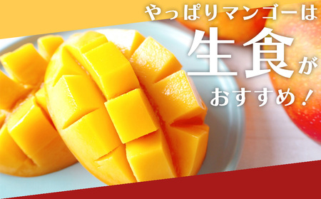 要マンゴー農園の完熟アップルマンゴー　１kg　２玉～３玉【2027年発送】