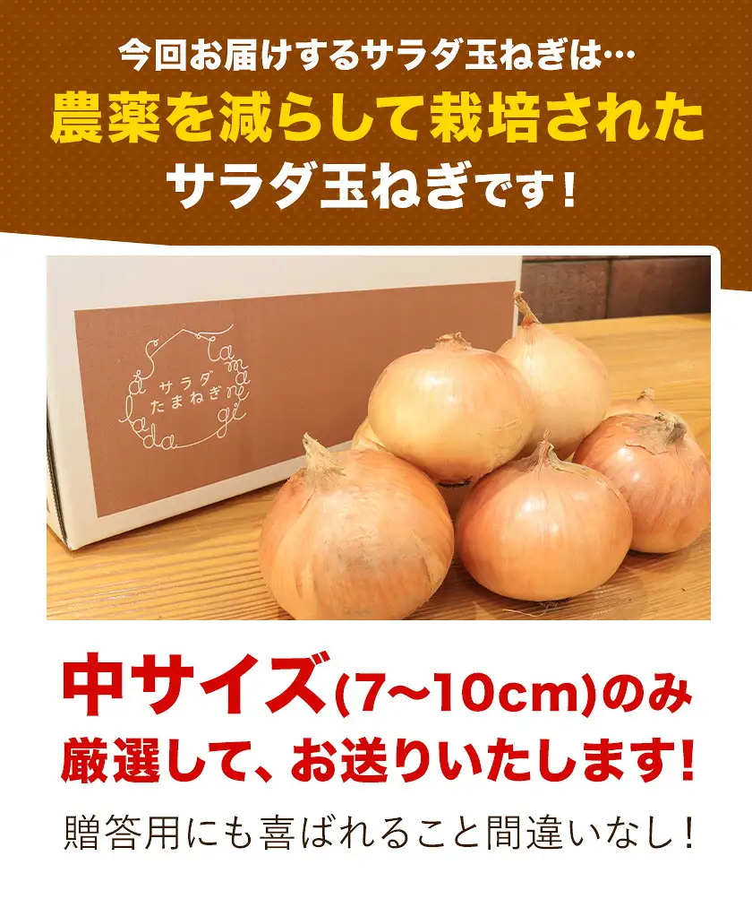 玉ねぎ サラダ 10kg 玉ねぎ