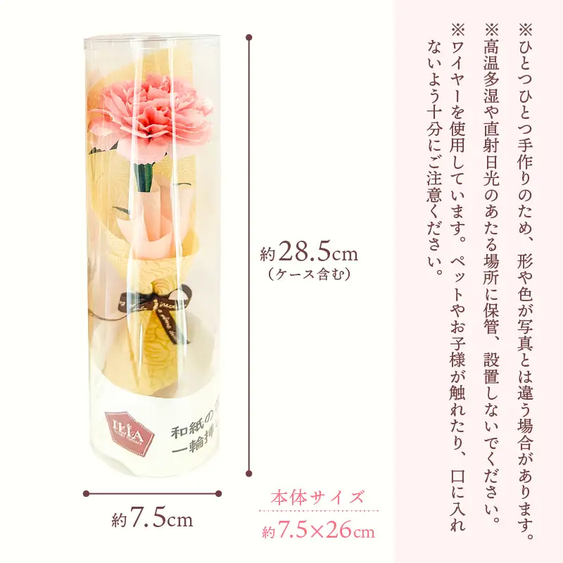 【先行予約】【母の日限定】母の日ギフト 越前和紙カーネーション 永遠の感謝 プレゼント【カラー赤】【2027年5月発送】  [e51-a004_01]