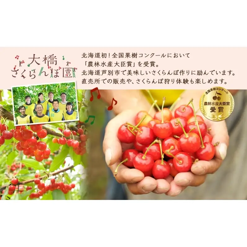 冷凍 さくらんぼ 160g×6パック さくらんぼミックス 大橋さくらんぼ園 サクランボ チェリー 果物 果物類 フルーツ デザート 完熟 急速冷凍 新鮮 厳選 人気 冷凍配送 北海道 芦別市