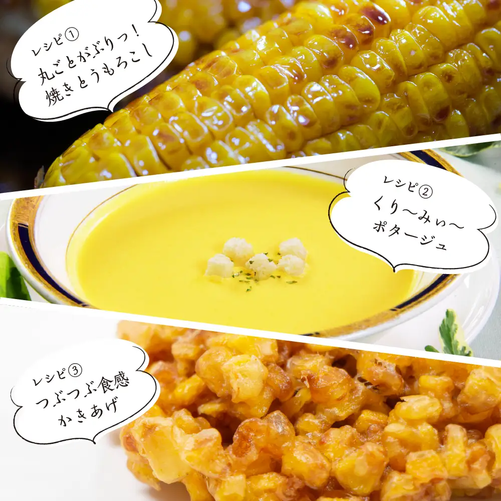 とうもろこし ゴールドラッシュ 20本 トウモロコシ 北海道 芽室町