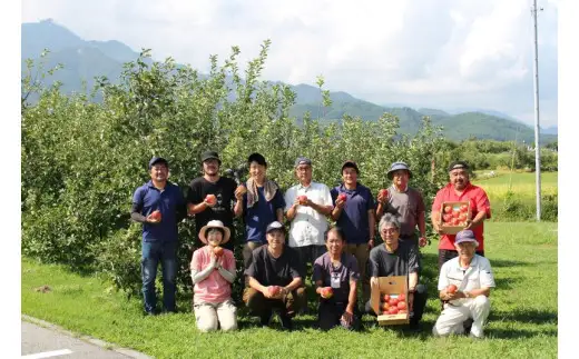 りんご 秋映 約3㎏ 贈答 / 2026年10月上旬頃～配送予定// 長野県 松川町産 ギフト 贈答 リンゴ 林檎 あきばえ 農家直送 農家支援 産地直送