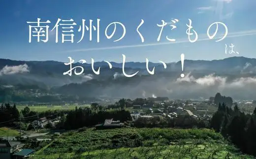 りんご 秋映 約5kg ／2026年10月上旬ごろ配送予定[JA12]//長野県 オリジナル品種 南信州産 贈答 南信州ブランド りんご三兄弟 人気 甘い 濃厚