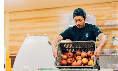 マルカメシードル2本セット / 7月下旬頃～発送開始[FG01]//長野県 南信州 松川町産 りんごのお酒 ワイン シードル 辛口 甘口 リンゴ 贈答 ギフト 飲み比べ