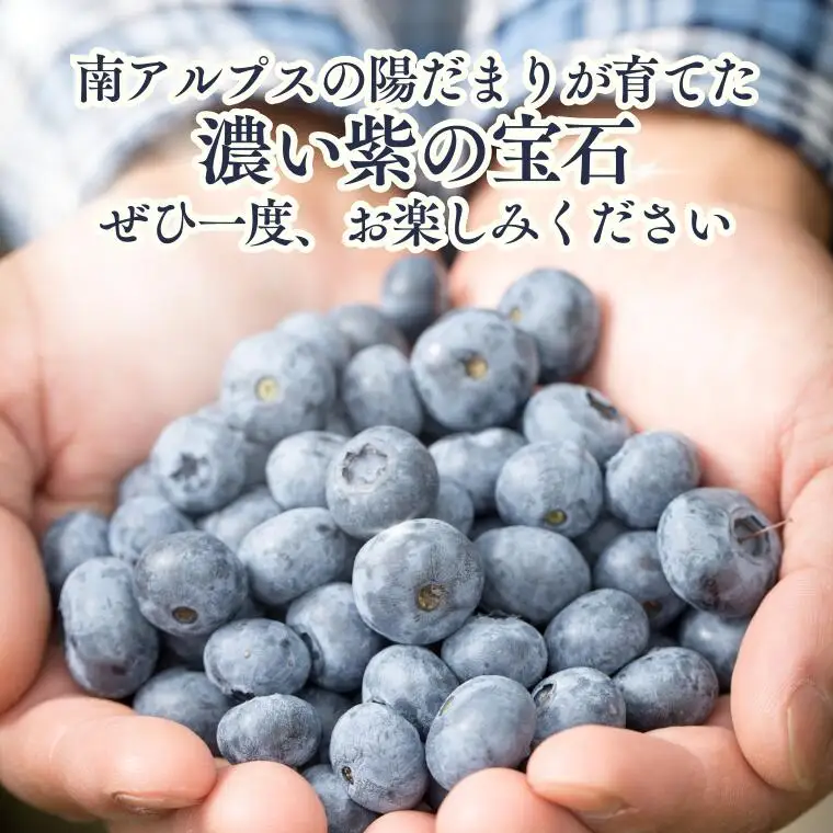 KB05 冷凍ブルーベリー 約1kg【2Lサイズ以上】／2026年8月上旬頃から順次発送｜ 長野県 南信州 松川町 摘みたて 朝摘み 新鮮 安全 産地直送 農家直送 大粒 2Lサイズ以上 冷凍 ブルーベリー 果物 フルーツ