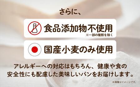 「3ヶ月定期便（毎月）」【卵・乳アレルギー対応】学校給食パンセット（全10種類）